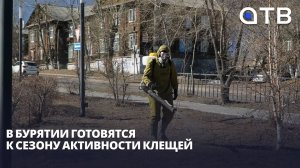 4 тысячи укушенных за год. В Бурятии готовятся к сезону активности клещей