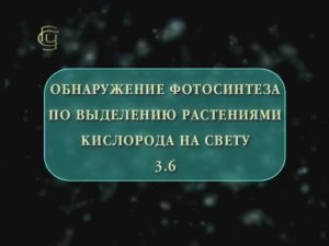 Обнаружение фотосинтеза по выделению растениями кислорода на свету