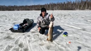 Рыбалка с ночёвкой. Ловлю щук. Есть трофей.