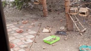 шумно за окном