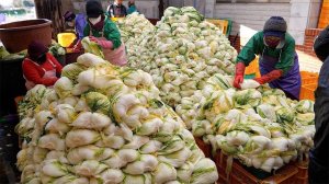 кимчи, сделанные вручную. корейская уличная еда