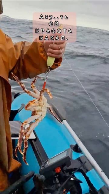 Аху..ть. красота какая.#Рыбалка #приколы