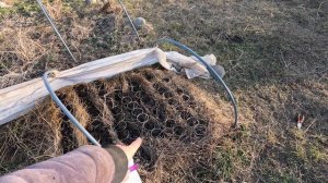 2026-03-09 ПО 15 САЖАЕМ ТЫКВУ, КУКУРУЗУ И КОРНЕПЛОДЫ. ПОСАДИЛИ ПОЛЫНЬ ПО ВСЕМУ ПЕРИМЕТРУ ЗАБОРА