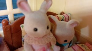 Sylvanian families 49 серия-"Причина злости Клары и Коли"