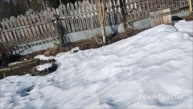 Зима как будто и не уходила, опять выпал снег.