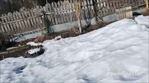 Зима как будто и не уходила, опять выпал снег.