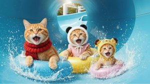 Чудесный день! ⭐⭐⭐ Мама-кошка берет Рыжую сестренку и котенка в тигровой шапочке в аквапарк ⭐❤️