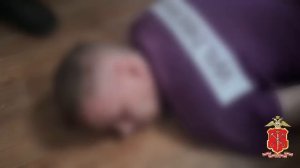 Полиция Петербурга ликвидировала межрегиональный канал незаконного оборота банковских и SIM-карт