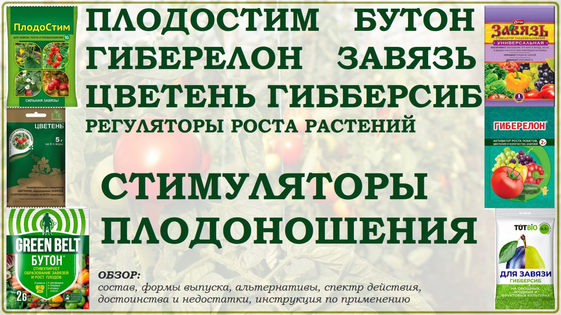 Плодостим, Завязь, Бутон, Гиберелон, Цветень, Гибберсиб – стимуляторы плодообразования. Обзор
