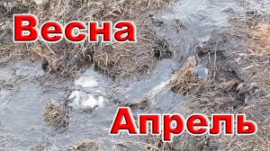 Весна. Апрель