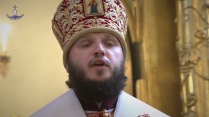 Проповедь епископа Николая 5 июня 2016 года, в 6-ю Неделю по Пасхе, о слепом