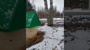 КРИК о помощи.