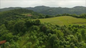 Почему у вас нет денег_ 9 апреля даст ответ и ключ.