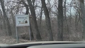 ПАВОДОК И БОЛЬШОЙ ЗАВАЛ У МОСТА НА р.БОЛЬШОЙ КИНЕЛЬ.08.04.26г.