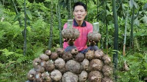 Собираю дикие коренья в джунглях и готовлю их на открытом огне. Жизнь во Вьетнаме