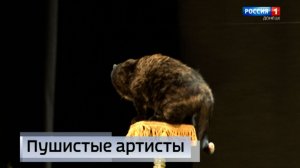 В Центре славянской культуры с масштабной программой выступил знаменитый театр кошек Куклачева