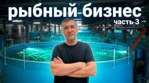 Наш еженедельный видеоотчёт Часть 3.