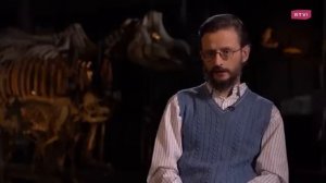 Какие существа могли развить мозг так же, как и человек. Дробышевский