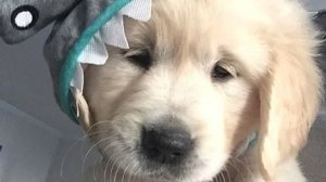 подписывайтесь на мой Max канал