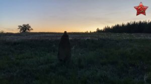 За того парня