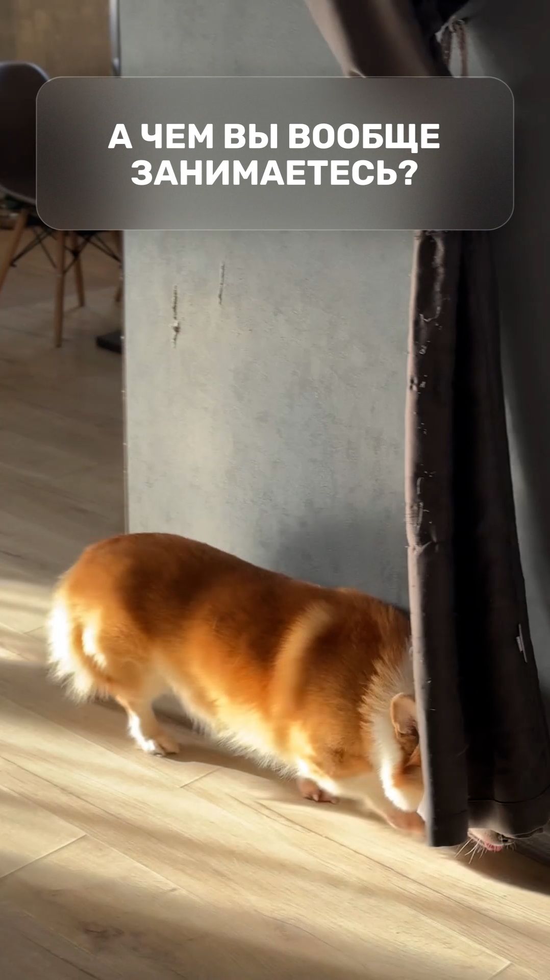 А чем вы вообще занимаетесь?