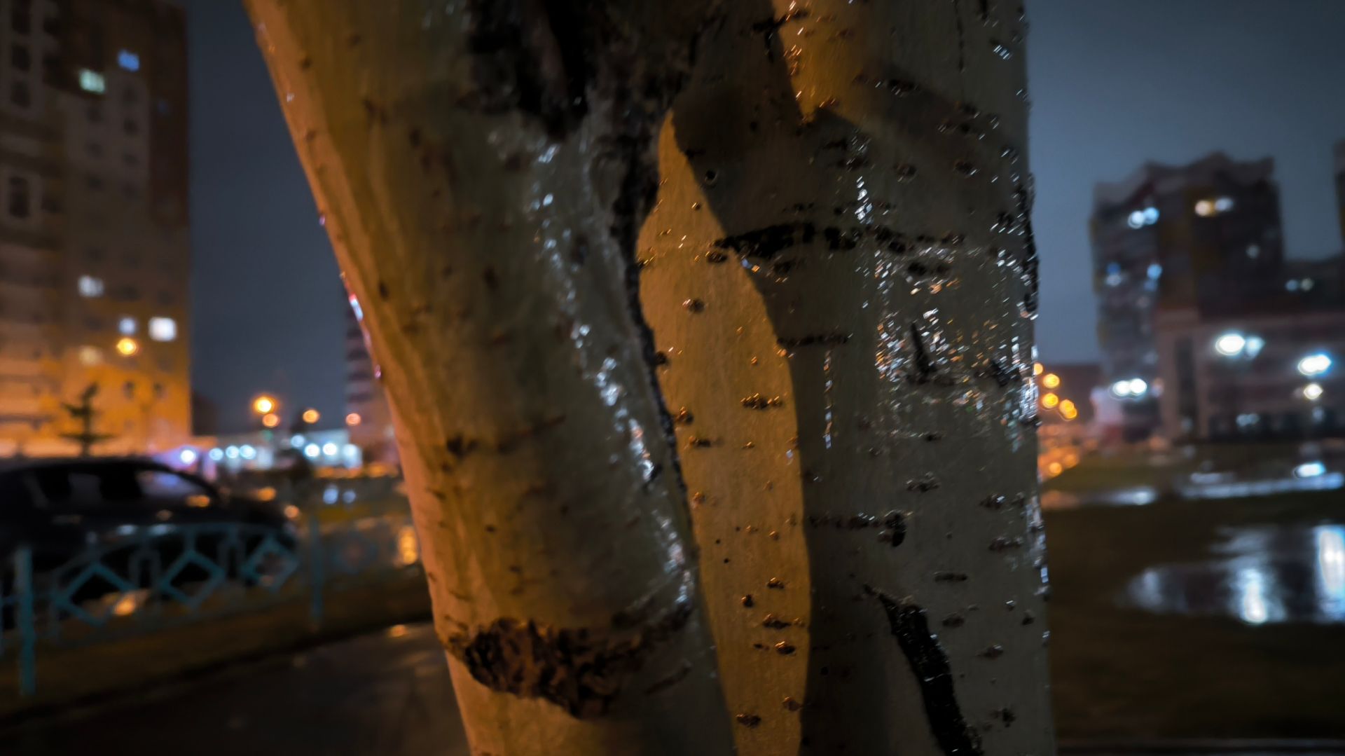 Пробежки со смыслом