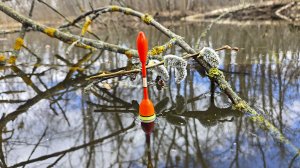 В ЭТИХ ЗАВАЛАХ ПОЛНО РЫБЫ! РЫБАЛКА НА ПОПЛАВОК 2026.