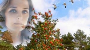 А Рябина Во Дворе💥💥💥