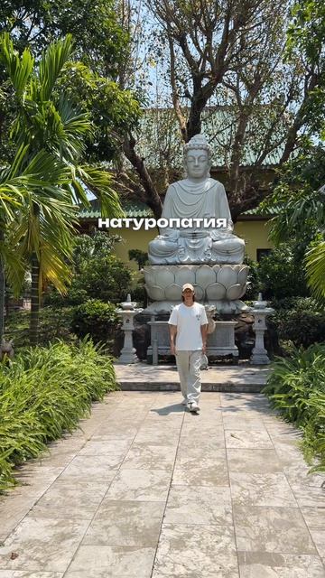 Натуропатия снова в тренде