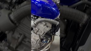 HONDA CB600F (2004) синий