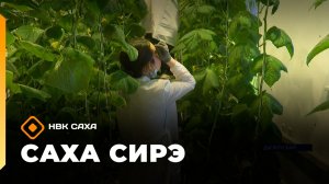 «Саха сирэ» информационнай биэрии. Муус устар 9 күнэ 20.30