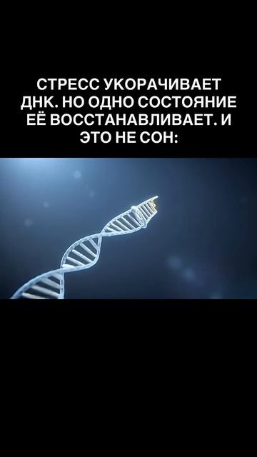 Стресс укорачиваеи ДНК. А что ее восстанавливает? Читай Описание к видео