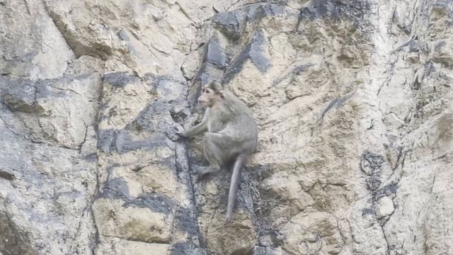 Поездка по округе