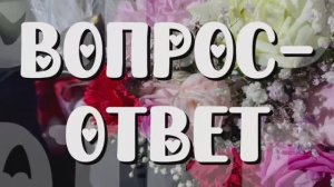Вопрос-ответ 🫶🏻❤️ отвечаем на вопросы!