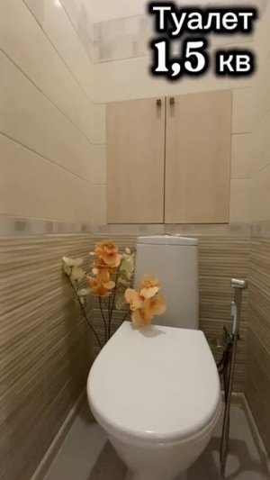 video5382217359081642311