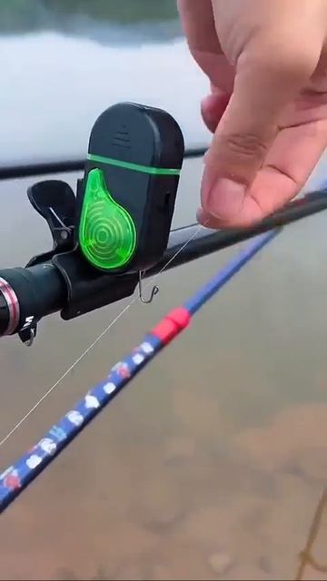 Видео от Выживание