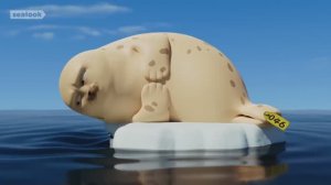 Морские Котики: Путешествую по миру во сне | Эпизод 5