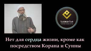 Нет для сердца жизни, кроме как посредством Корана и Сунны | Шейх Раслян