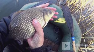 КАРАСИХИ АТАКУЮТ апр.2026