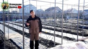 План работ на винограднике в марте (03.03.3024) (Видеоблог Давида Алверцяна)