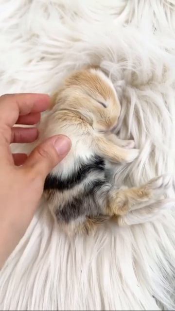 Добрый утро!