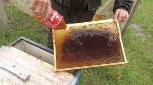 9.04.2026г.Град, дождь, ветер.