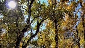 Спрячьте это у порога вечером 11 апреля. Секрет богатства.