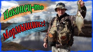 Наконец-то мормышинг! Подлещик и плотва