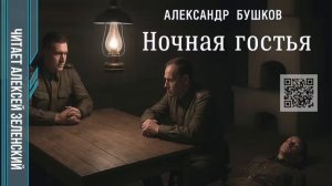Александр Бушков  "Ночная гостья"  читает Алексей Зеленский