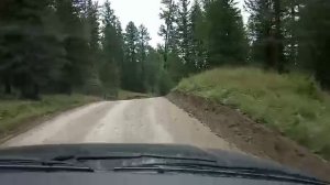 Горная тайга