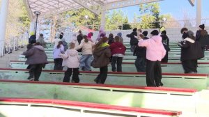 Плодотворные каникулы