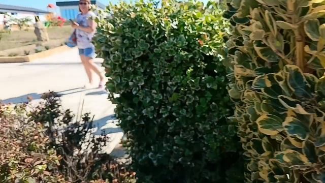 #вспомним вулкан гефест