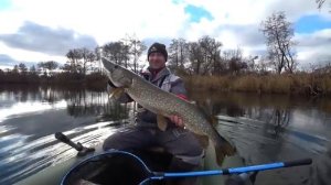 ЕЕ НЕ ОСТАНОВИТЬ. Сменил приманку и поперло! Рыбалка на спиннинг осенью.