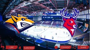 Металлург - Торпедо | Текстовая трансляция